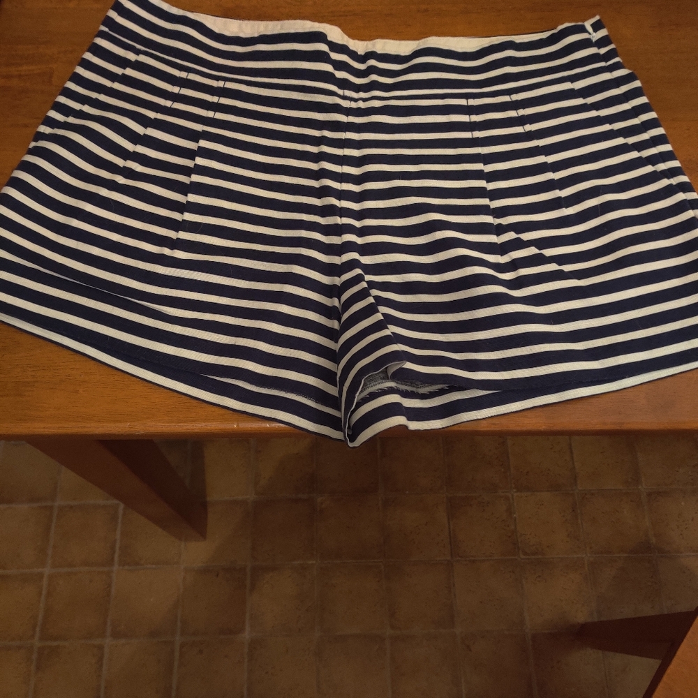 J Crew Shorts